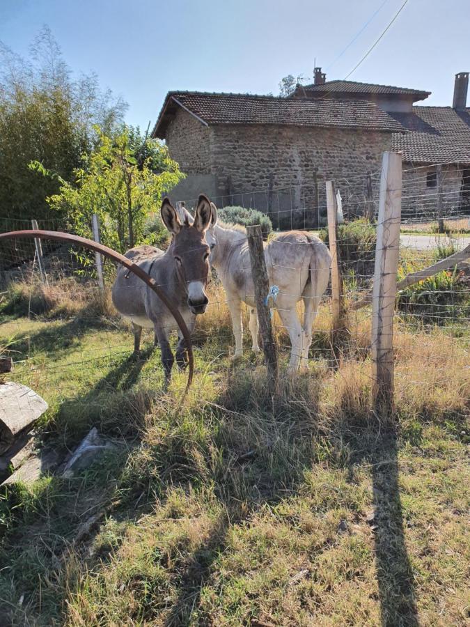 Holiday home Les Figuets Chateauneuf-de-Galaure